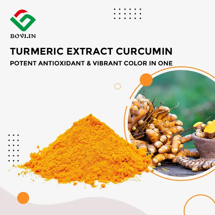 Turmeric Extract Curcumin